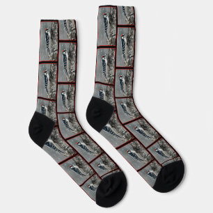 Downy Woodpecker in Winter Original Photograph Socks