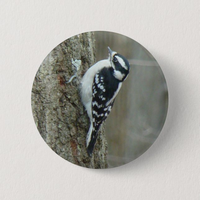 Downy Woodpecker Items 6 Cm Round Badge (Front)