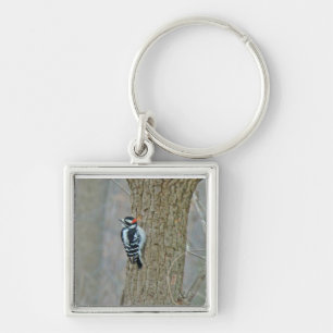 Downy Woodpecker Items Key Ring