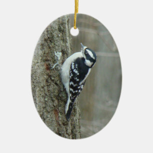 Downy Woodpecker Male & Female Ornament