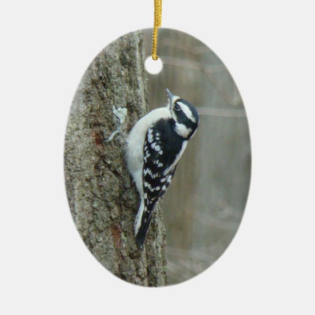 Downy Woodpecker Male & Female Ornament (Front)
