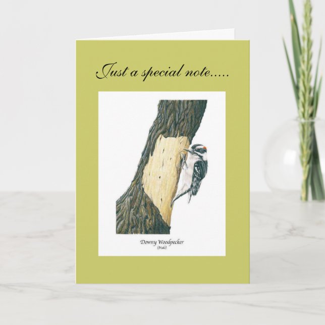 Downy Woodpecker (Male) Thank You Card (Front)