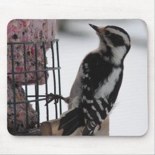 Downy Woodpecker Mouse Mat