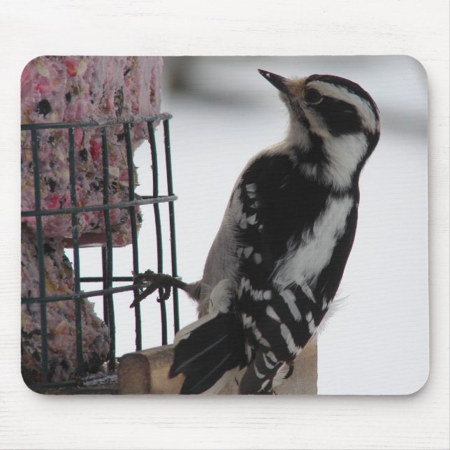 Downy Woodpecker Mouse Mat (Front)