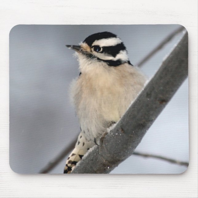 Downy Woodpecker Mousepad (Front)