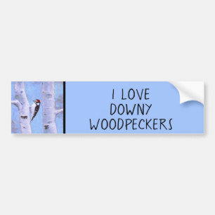 Downy Woodpecker Painting - Original Bird Art Bumper Sticker
