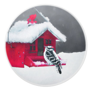 Downy Woodpecker Painting - Original Bird Art Ceramic Knob