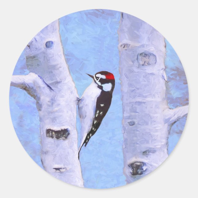Downy Woodpecker Painting - Original Bird Art Classic Round Sticker (Front)