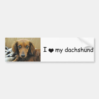 Doxie Bumper Sticker