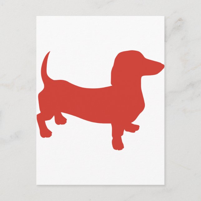 Doxie - Dacshund Postcard (Front)