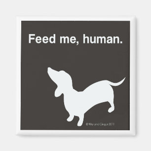Doxie Feed Me Magnet black
