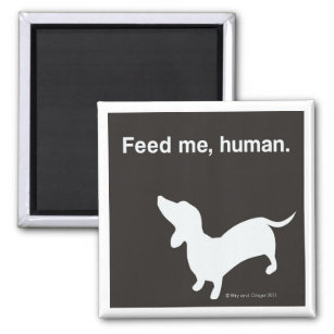Doxie Feed Me Magnet black