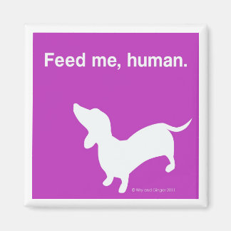 Doxie Feed Me Magnet pink