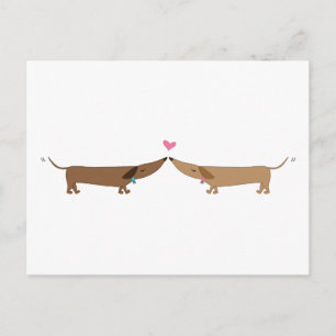doxie love postcard