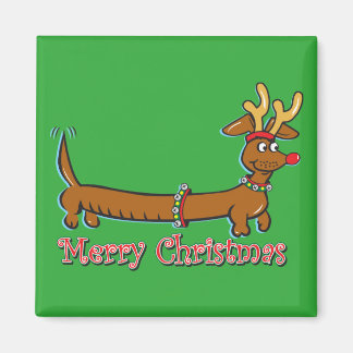 Doxie-Merry-Christmas Magnet
