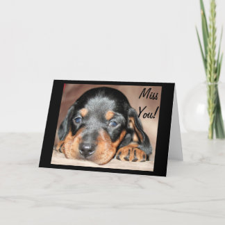 Doxie Pup Card