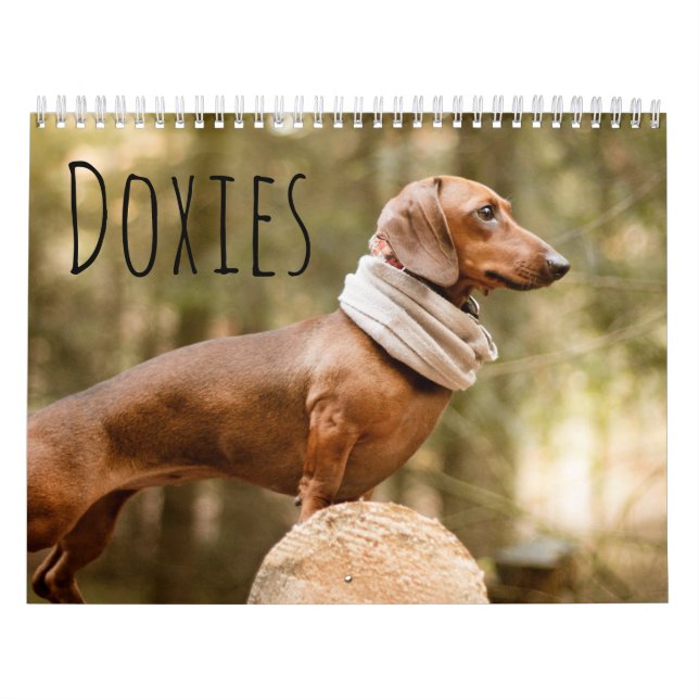 Doxies Calendar (Cover)