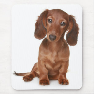 Doxin Wiener Dog Lover Gift Cute Dachshund Mouse Mat