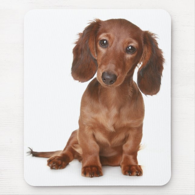 Doxin Wiener Dog Lover Gift Cute Dachshund Mouse Mat (Front)