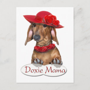 Doxy Mama Postcard