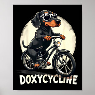 Doxycycline pharmacy funny dachshund on bicycle poster