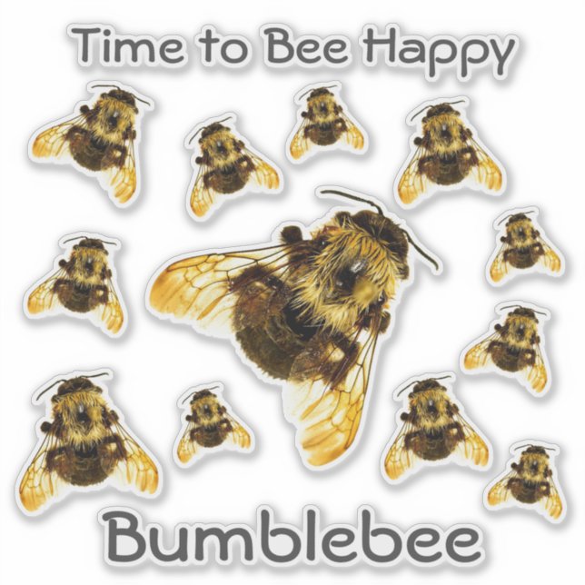 Dozen Bumblebees Time to Bee Happy Customisable (Front)