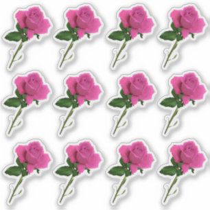 Dozen Long Stem Pink Rose Sheet Sticker
