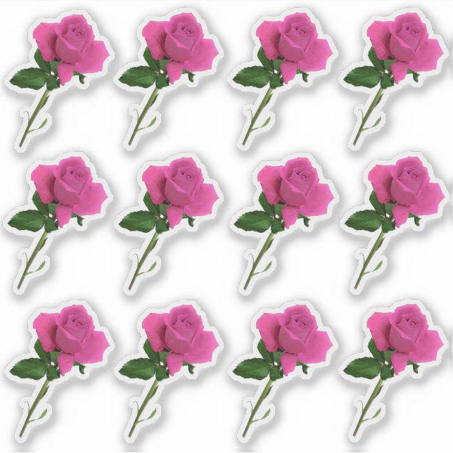 Dozen Long Stem Pink Rose Sheet Sticker (Front)