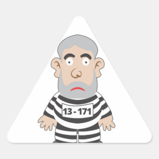 Dozens of Pixuleco products Triangle Sticker