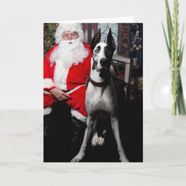 Dozer the Therapy Dog, Christmas Cards (Front)
