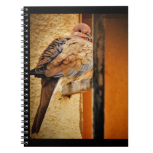 Dozing Dove Notebook