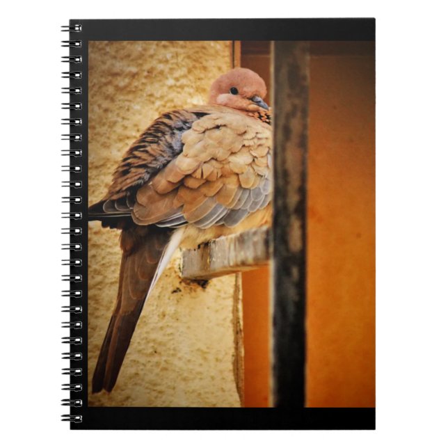 Dozing Dove   Notebook (Front)