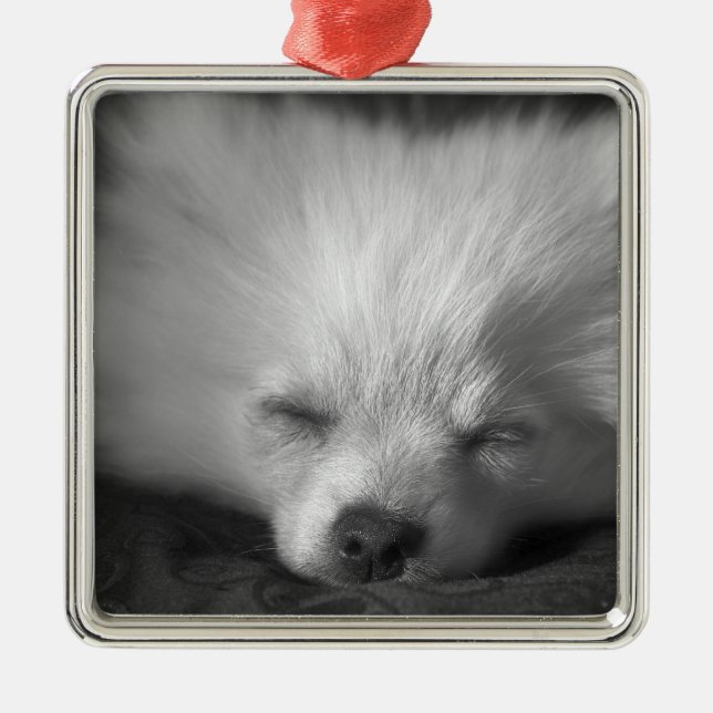 Dozing Pomeranian Metal Tree Decoration (Front)
