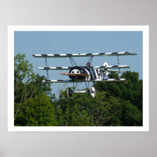 DR1 239/17 On Final! Poster