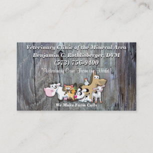 Dr Ben Veterinarian Business Card