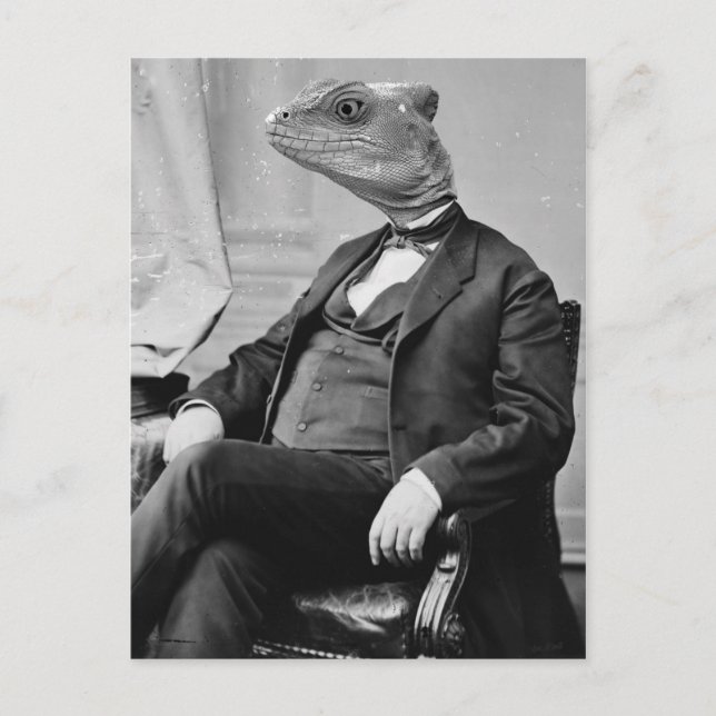 Dr. Lizard Postcard (Front)