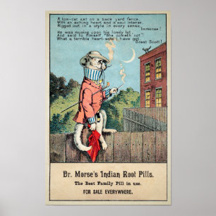 Dr Morse Cat Trade Card #1 (of 4) Poster