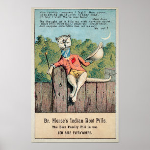 Dr Morse Cat Trade Card #2 (of 4) Poster