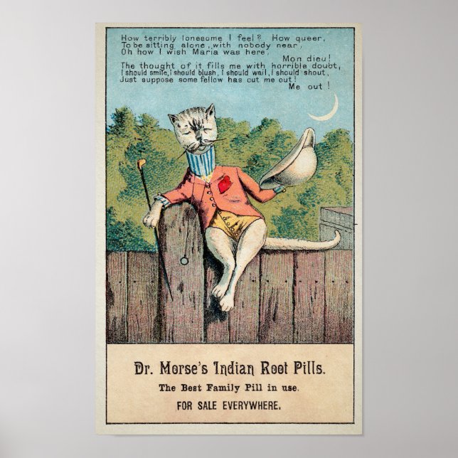 Dr Morse Cat Trade Card #2 (of 4) Poster (Front)