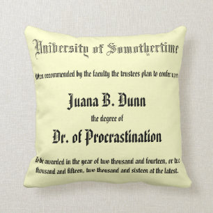 Dr. of Procrastination, pillow
