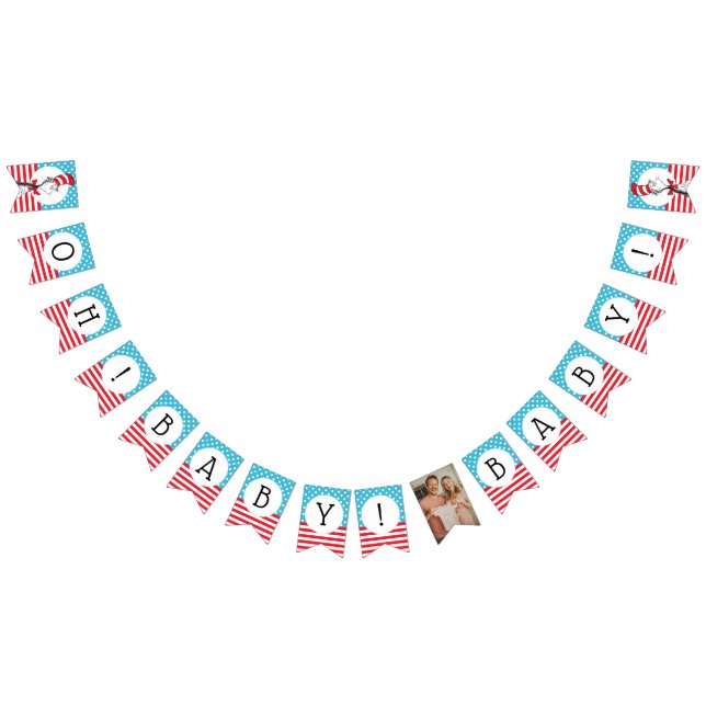 Dr. Seuss - Cat in the Hat Baby Shower Bunting (All)