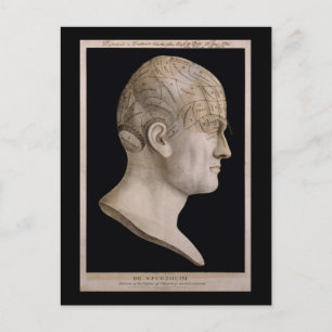 Dr. Spurzheim's phrenology chart Postcard