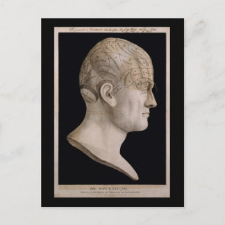 Dr. Spurzheim's phrenology chart Postcard