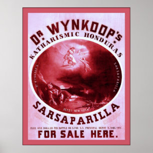 Dr. Wynkoop's Sarsaparilla ~ Vintage Advertising Poster