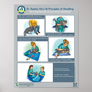 Dr. Yin's 10 Principles of Handling Cats Poster