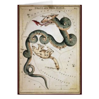 Draco and Ursa Minor