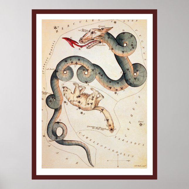 Draco and Ursa Minor by Sidney Hall Poster (Front)