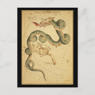 Draco and Ursa Minor Postcard