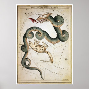 Draco and Ursa Minor Poster