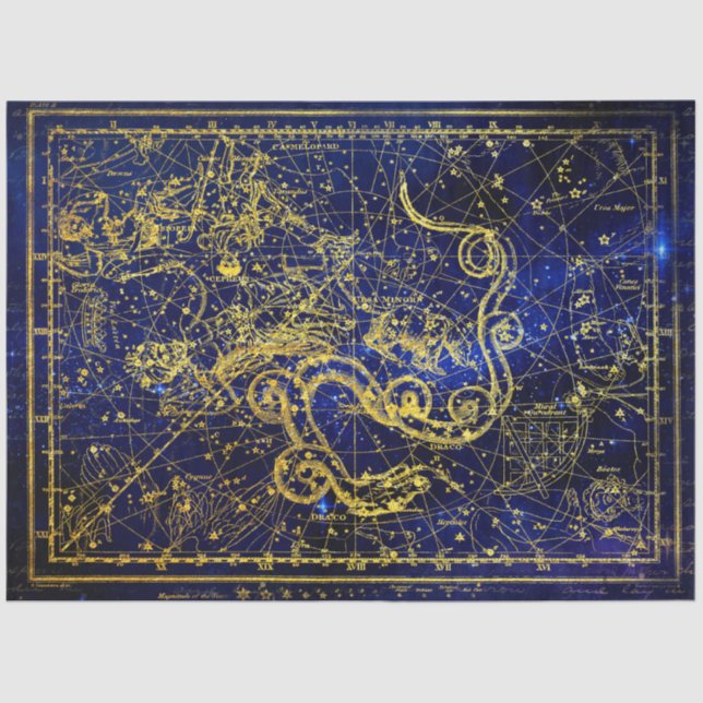 Draco Gold Celestial Constellation Tissue Paper (Front)